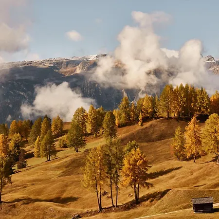 Goldener Herbst In - 